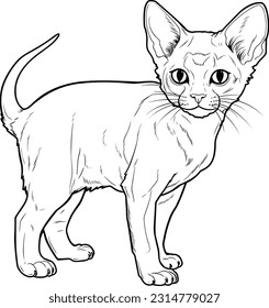 A cat , colouring book for kids, vector illustration