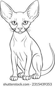 Cat, colouring book for kids, vector illustration