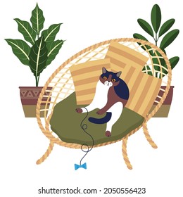 cat is comfortably ensconced in a wicker chair with pillows. happy cat at home. cozy house with fashionable, 
comfortable furniture and indoor plants. lifestyle of a pet.stock vector illustration. EPS
