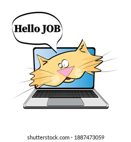 The cat is in the computer. The cat is at work. Work days.