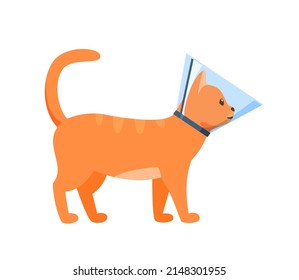 Cat in cone collar, red cat wrapped in Elizabethan collar, protection from licking for pet after treatment, cone of shame, vector illustration