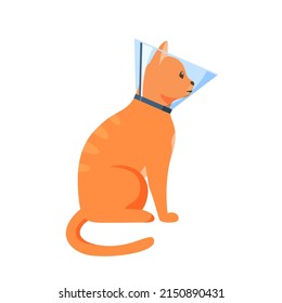 Cat in cone collar, red cat wrapped in Elizabethan collar, protection from licking for pet after treatment, cone of shame, vector