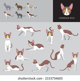 Cat Cornish Rex Cartoon Vector Illustration Color Variation Set