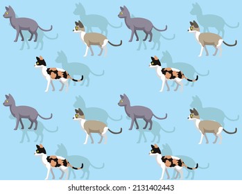 Cat Cornish Rex Diversos Abrigos Papel De Fondo De Pantalla Sin Marea