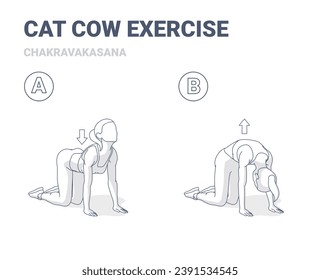 Cat Cow Exercise, Female Home Workout Routine Guidance. Outlined Black and White Concept of Girl Chakravakasana Yoga Pose Young Woman in Sportswear do the fitness exercise.