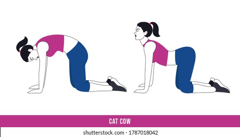 Cat Cow Yoga High Res Stock Images Shutterstock