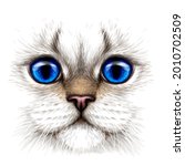 Cat. Creative design. Color portrait of a cat with blue eyes close-up on a white background. Digital vector graphics