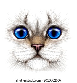 Cat. Creative design. Color portrait of a cat with blue eyes close-up on a white background. Digital vector graphics