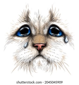 Cat. Creative design. Color portrait of a crying cat with blue eyes close-up on a white background. Digital vector graphics