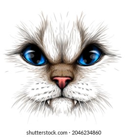 Cat. Creative design. Color portrait of a angry cat with blue eyes close-up on a white background. Digital vector graphics