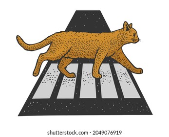 Cat crosses the road at pedestrian crossing color sketch engraving vector illustration. T-shirt apparel print design. Scratch board imitation. Black and white hand drawn image.