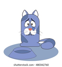 cat crying, no food