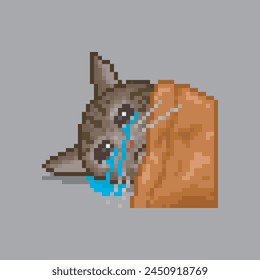 Cat crying under the sheet, pixel art meme