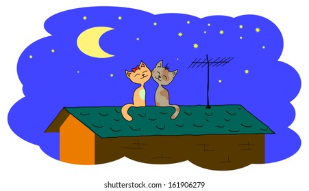 cat cuddling on the roof