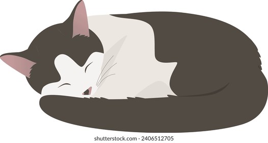 Cat curled up and sleeping black and white