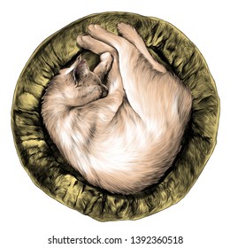 cat curled up sleeping in a round cat litter, top view, sketch vector graphic color illustration on white background