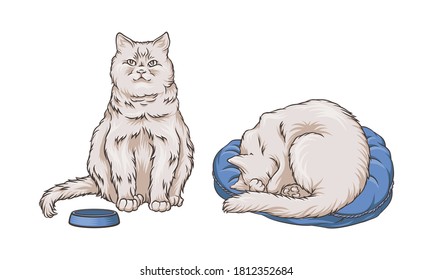 Cat Curling Up and Sitting Near Feeding Bowl Vector Set