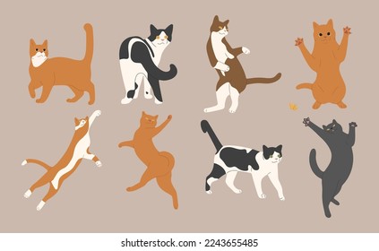 gato lindo 10 sobre fondo blanco, ilustración vectorial.