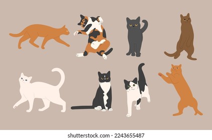 cat cute 11 on a white background, vector illustration.