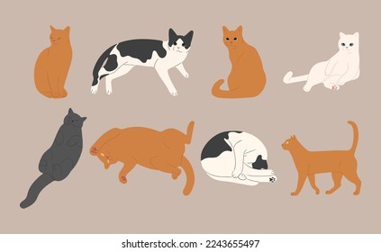 gato lindo 12 sobre fondo blanco, ilustración vectorial.