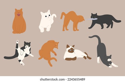cat cute 2 on a white background, vector illustration.