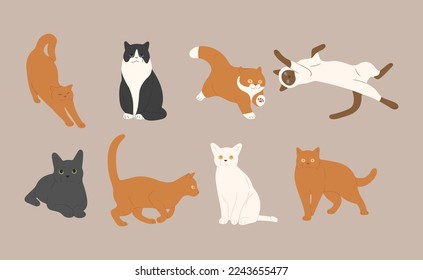 gato lindo 6 sobre fondo blanco, ilustración vectorial.