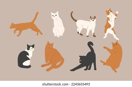 cat cute 7 on a white background, vector illustration.