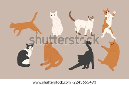 Similar – Image, Stock Photo Cute cat sitting on wooden wall furniture