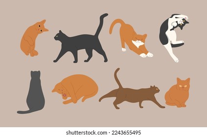 gato lindo 9 sobre fondo blanco, ilustración vectorial.