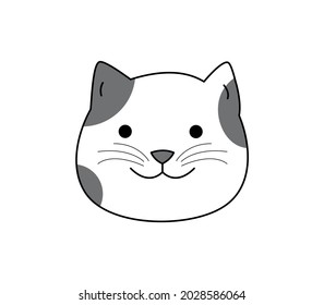 Cat with a cute face is isolated on a white background, funny cat, adorable home pet.