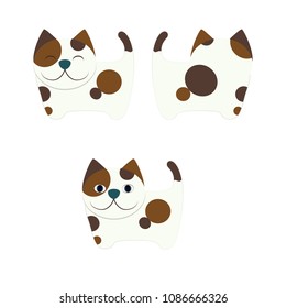 Cat is cute But Fat