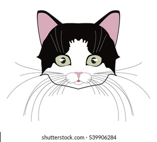 Cat cute head. Face kitten, whisker and ear, muzzle and wool. Vector illustration. Cat head black and white