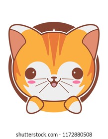 cat cute illustration