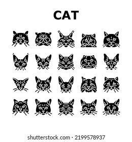 cat cute pet animal kitten funny icons set vector. kitty happy character, face portrait, fun silhouette, head mew, young pretty fluffy cat cute pet animal kitten funny glyph pictogram Illustrations
