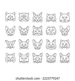 cat cute pet animal kitten funny icons set vector. kitty happy character, face portrait, fun silhouette, head mew, young pretty fluffy cat cute pet animal kitten funny black contour illustrations