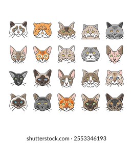 Gato lindo animal doméstico gatito divertido iconos conjunto Vector. gatito personaje feliz, retrato de la cara, silueta divertida, cabeza Mew, joven bastante esponjoso gato lindo animal animal gatito divertido línea de color ilustraciones