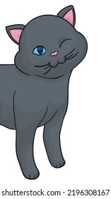 Cat with dark gray fur winking at you, appearing from the left side, isolated over white background.