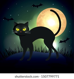 cat in the dark night halloween scene