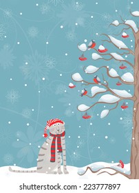 cat in December
