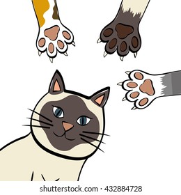 cat design. animal concept. flat illustration , vector