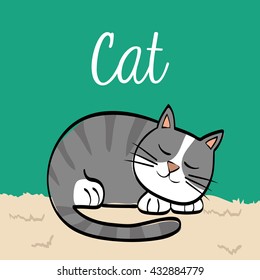 cat design. animal concept. flat illustration , vector