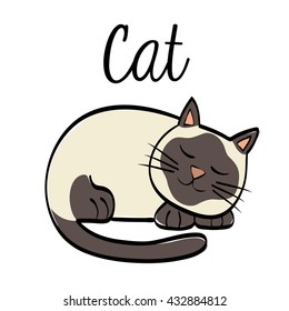 cat design. animal concept. flat illustration , vector