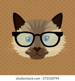 Cat design over beige background, vector illustration.