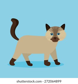 Cat design over blue background, vector illustration.