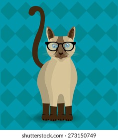 Cat design over blue background, vector illustration.