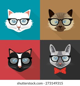 Cat design over colorful background, vector illustration.