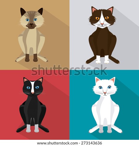 Cat design over colorful background, vector illustration.