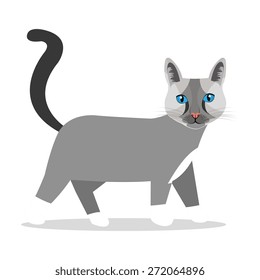 Cat design over white background, vector illustration.