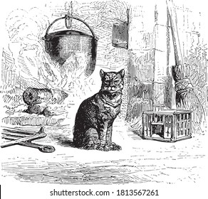 Katze, Aus dem Wörterbuch von Wort und Dingen, 1888.