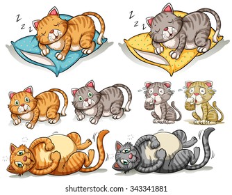 Cat in different actions illustration